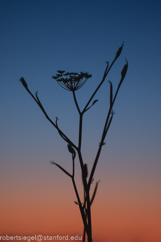 emily renzel wetlands 2023